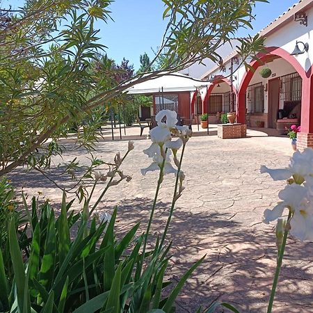 Casa Rural El Palomar Villa Pedro Munoz Exterior photo